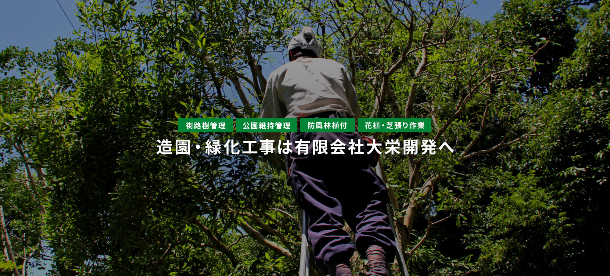 街路樹管理 公園維持管理 防風林植付 花植・芝張り作業 その他造園・緑化工事は有限会社大栄開発へ
